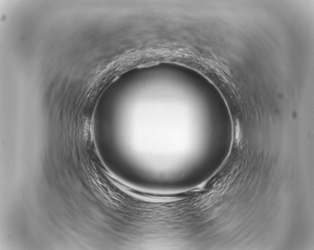 X0000088221492200705151400