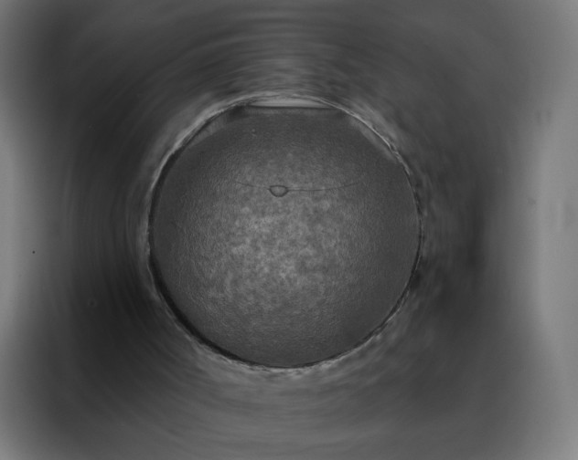 X0000088220002200705221813