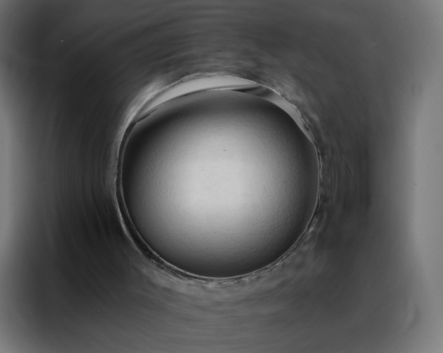 X0000088220003200705221813