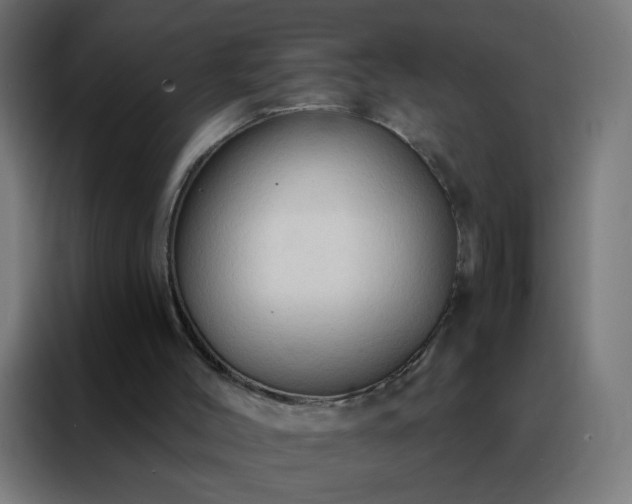 X0000088220004200705221813