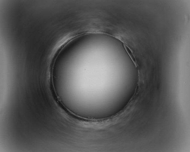 X0000088220005200705221813