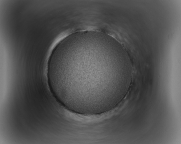 X0000088220006200705221813