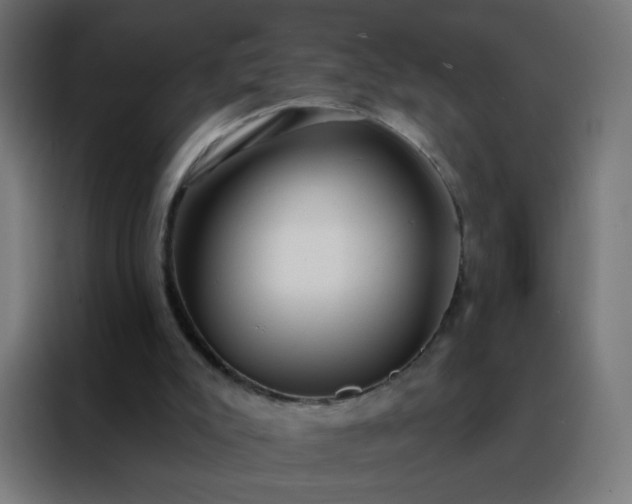 X0000088220007200705221813