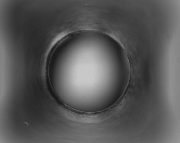 X0000088220008200705221813