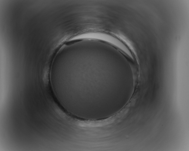 X0000088220009200705221813