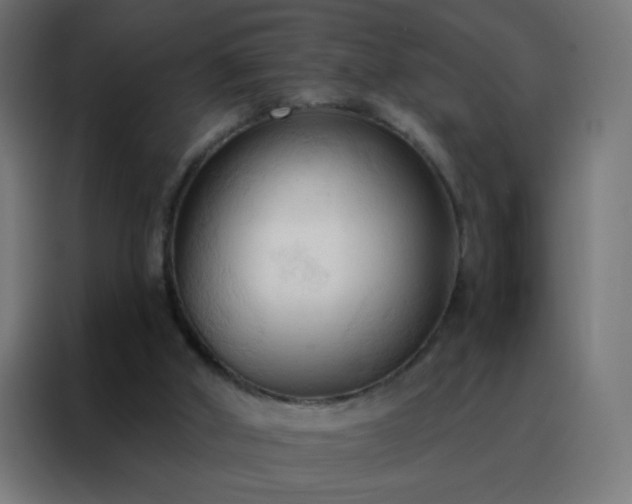 X0000088220010200705221813