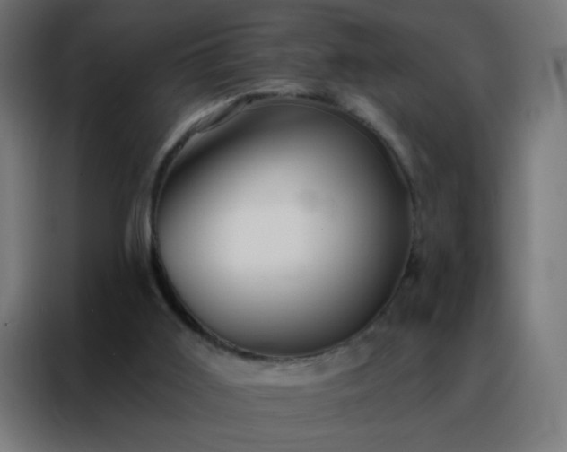 X0000088220011200705221813