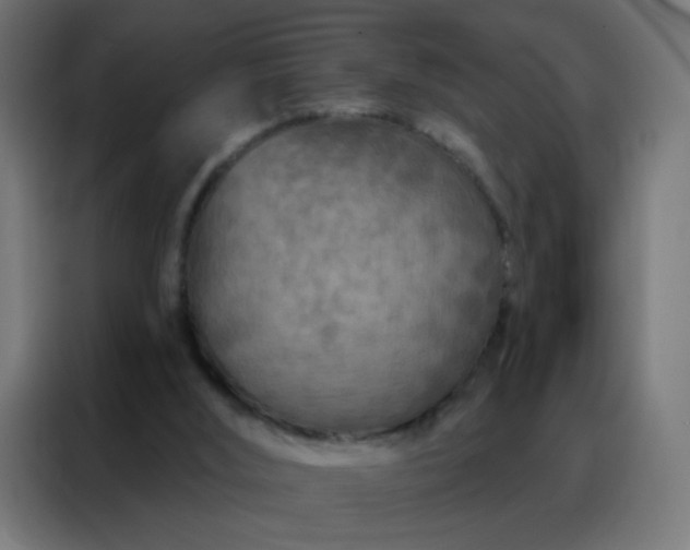 X0000088220012200705221813