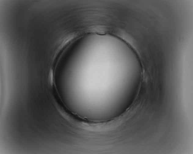 X0000088220013200705221813