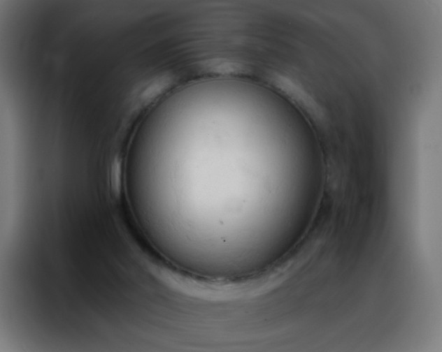 X0000088220014200705221813