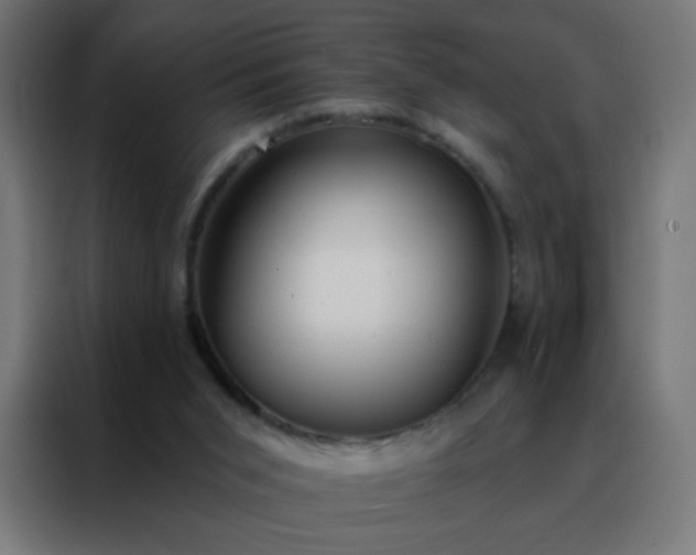 X0000088220015200705221813