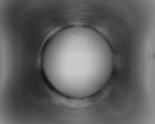 X0000088220016200705221813