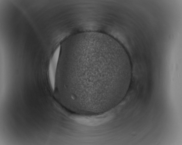 X0000088220017200705221813