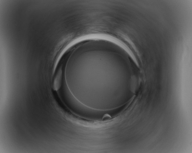 X0000088220019200705221813