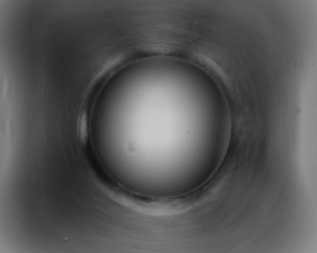 X0000088220020200705221813