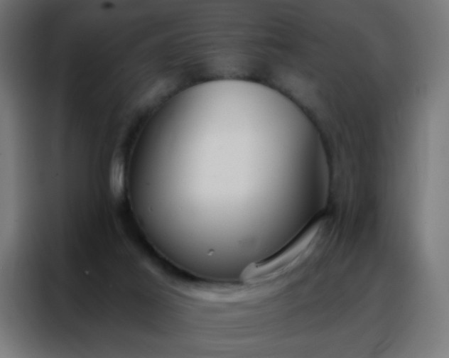 X0000088220021200705221813