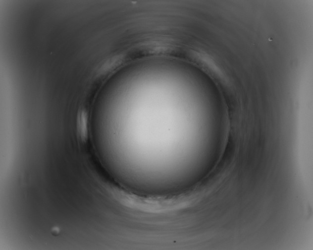 X0000088220022200705221813