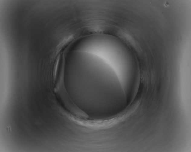 X0000088220023200705221813