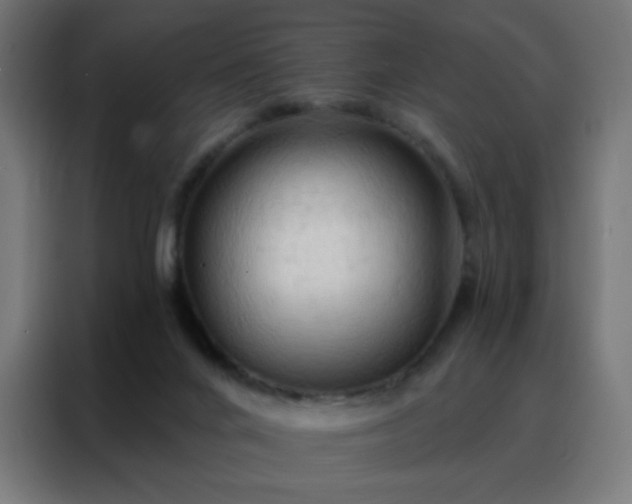 X0000088220024200705221813