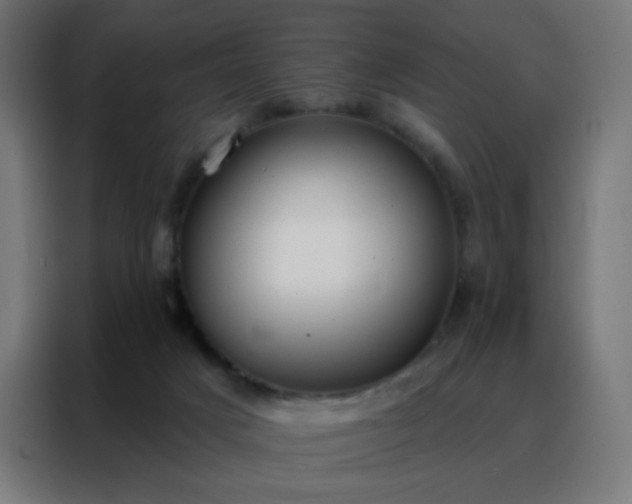 X0000088220025200705221813