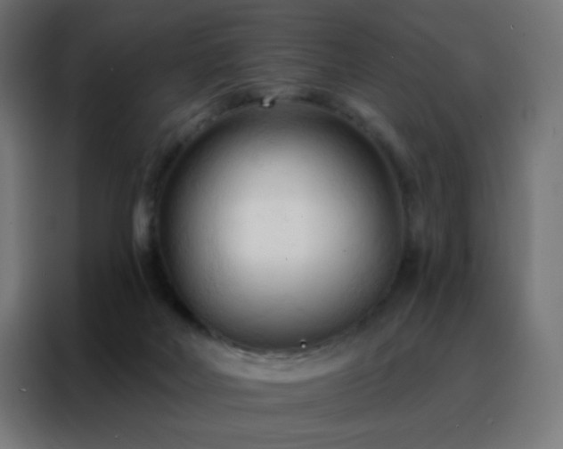 X0000088220026200705221813