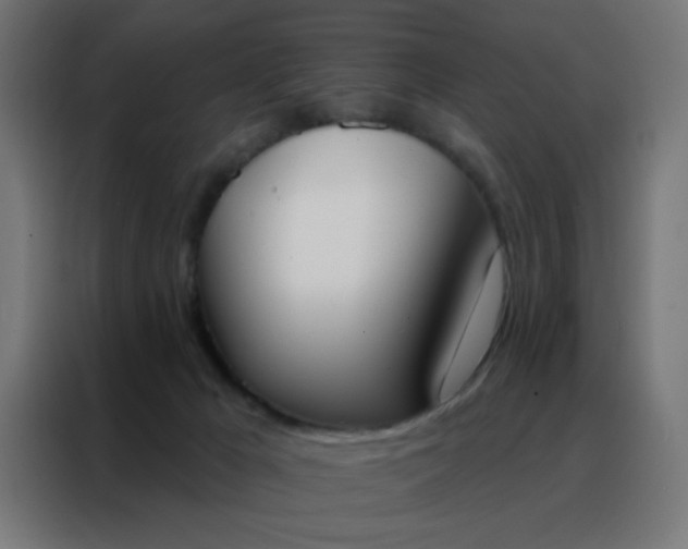 X0000088220029200705221813