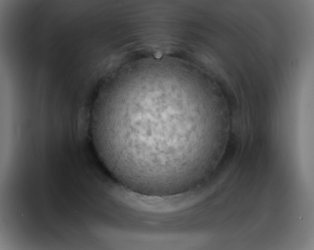 X0000088220030200705221813