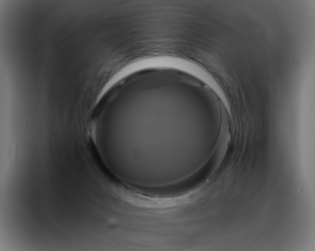 X0000088220031200705221813