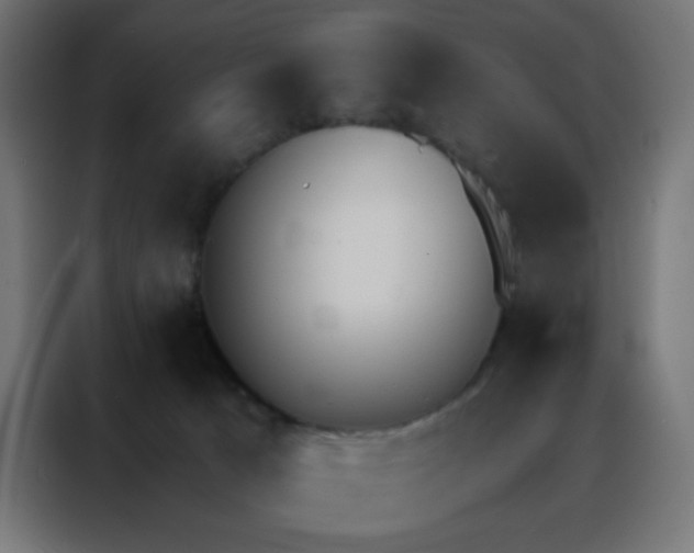 X0000088220033200705221812