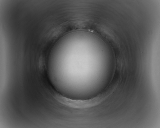 X0000088220034200705221812