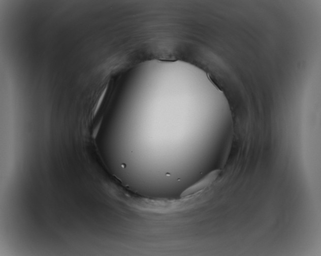 X0000088220037200705221812