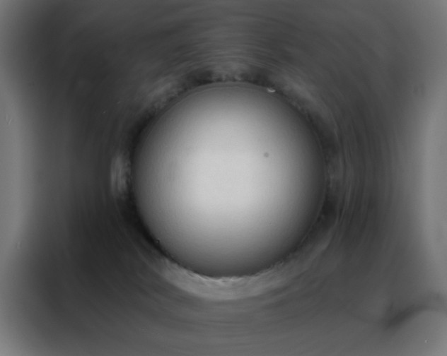 X0000088220038200705221812