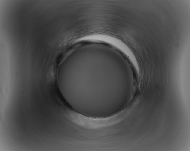 X0000088220039200705221812