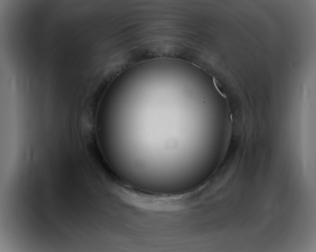 X0000088220040200705221812