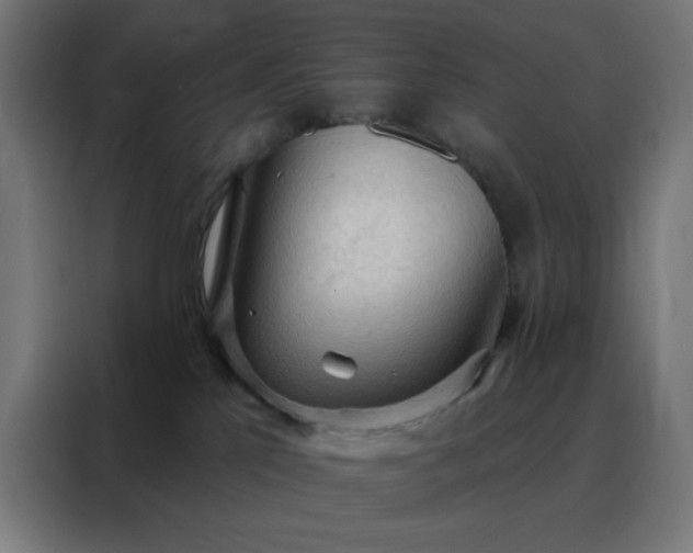 X0000088220041200705221812