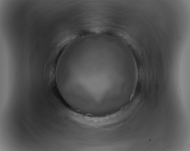 X0000088220043200705221812