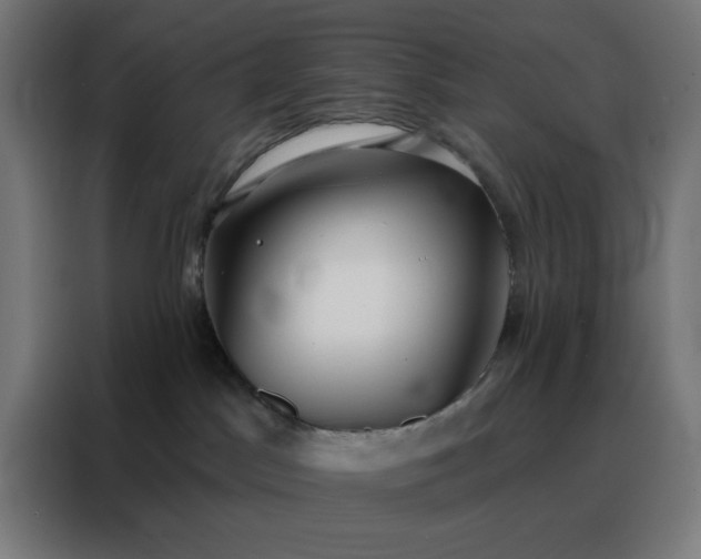 X0000088220045200705221812