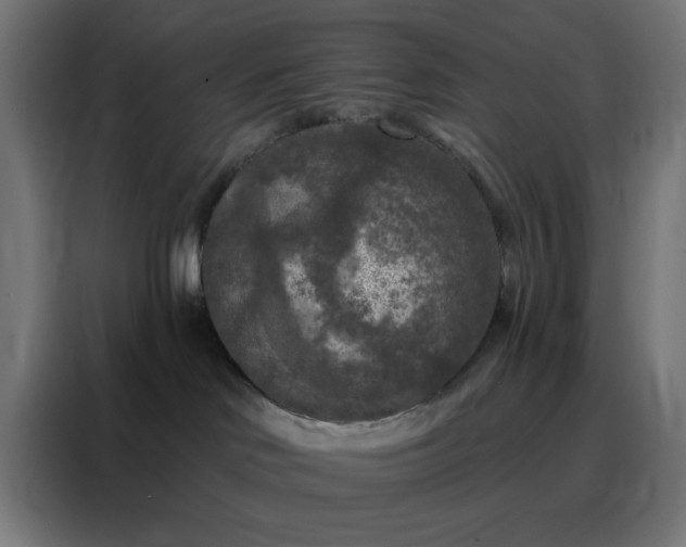 X0000088220046200705221812