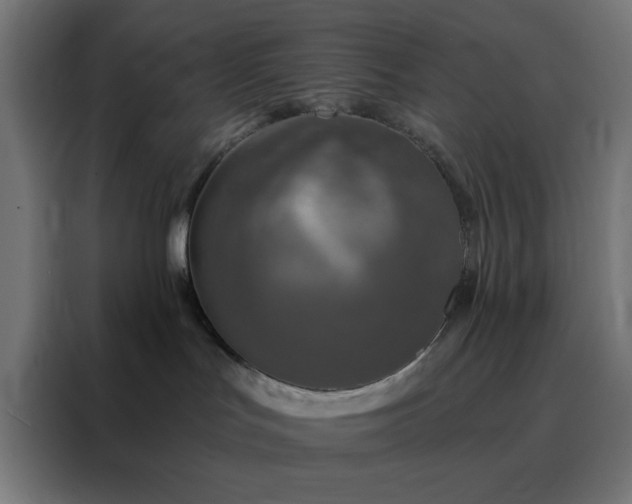 X0000088220047200705221812