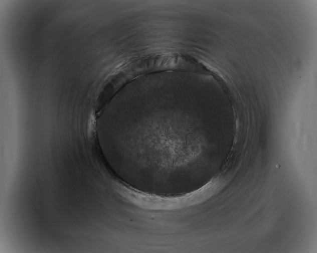 X0000088220048200705221812