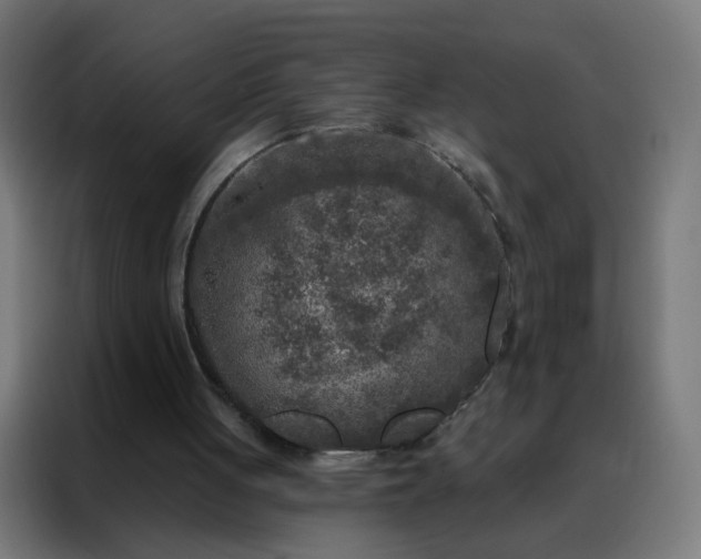 X0000088220051200705221812