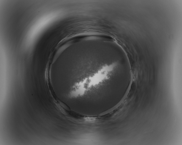 X0000088220052200705221812