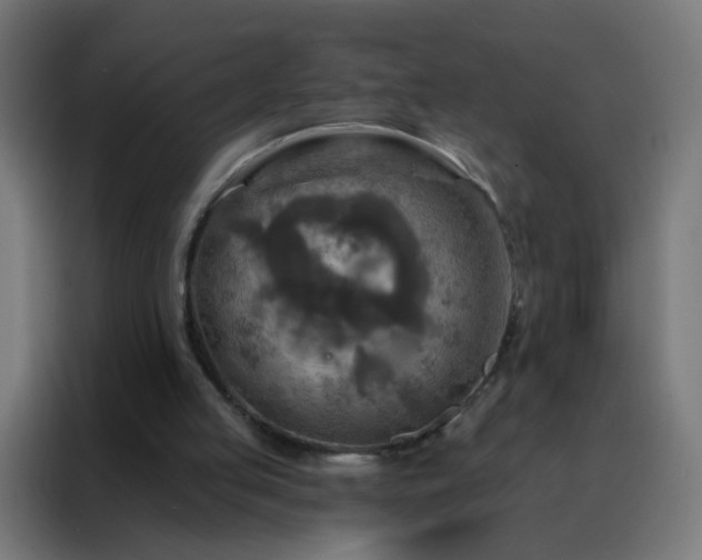 X0000088220053200705221812