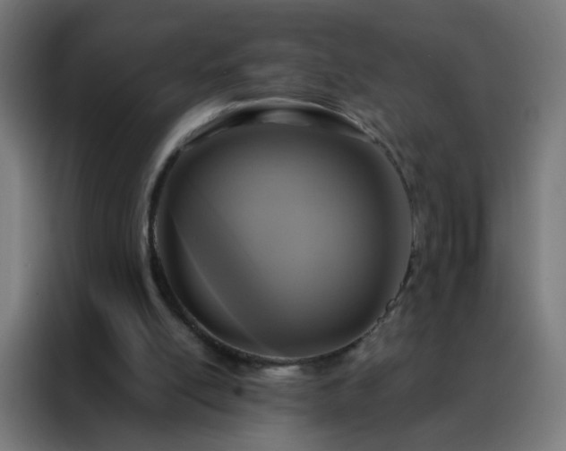 X0000088220054200705221812