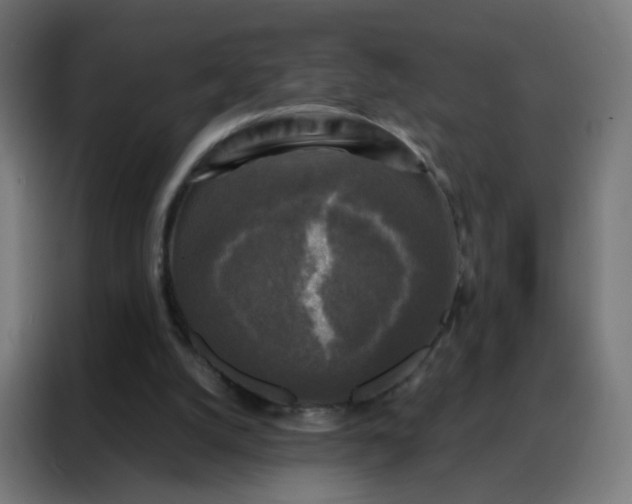 X0000088220056200705221812