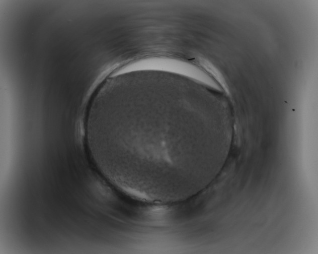 X0000088220059200705221812