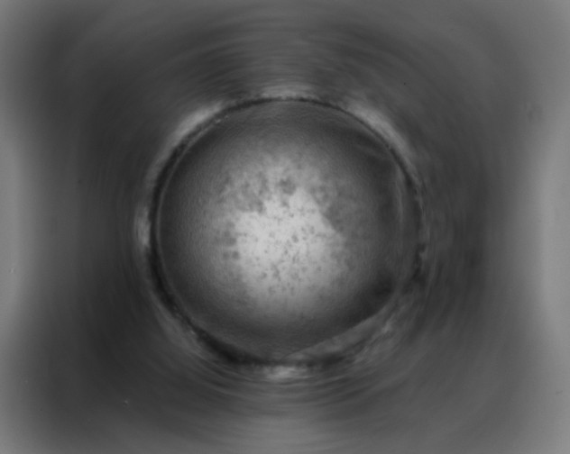 X0000088220060200705221812