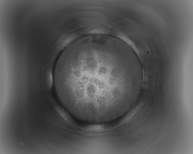 X0000088220061200705221812