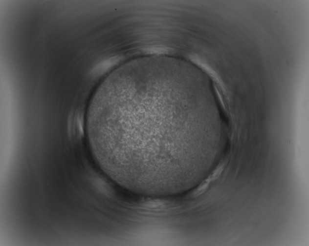 X0000088220062200705221812