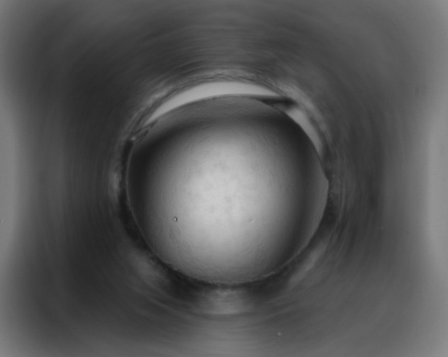 X0000088220063200705221812